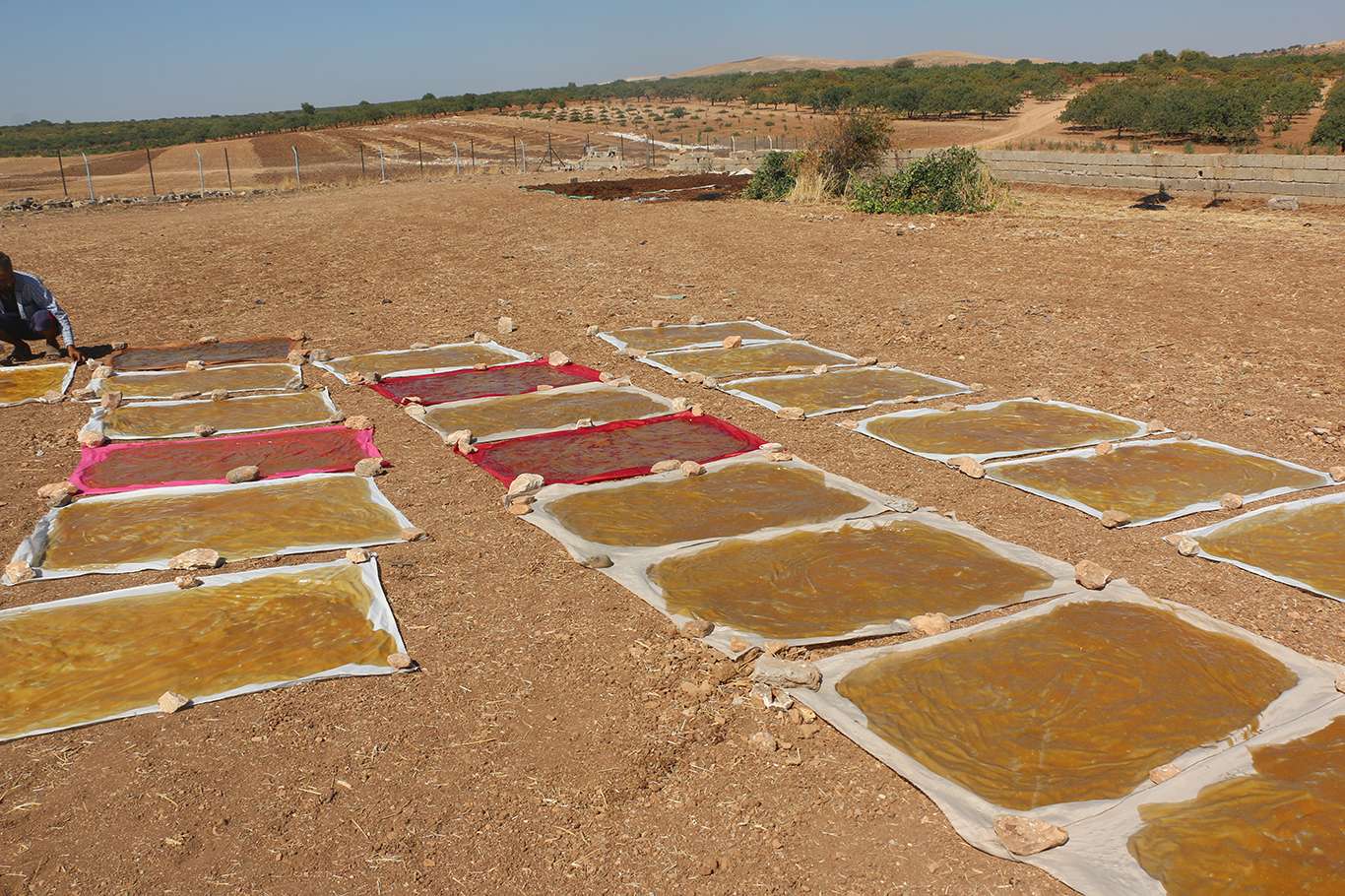 Şanlıurfa'da kazanlar yöresel lezzetler için kaynadı